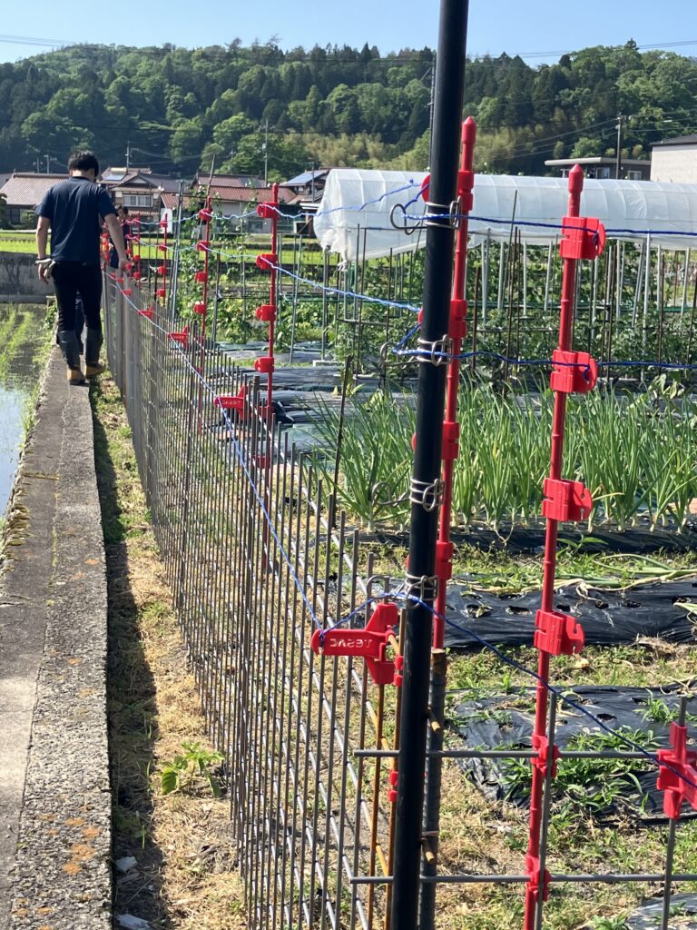 2024.5.21北広島町春木複合柵2